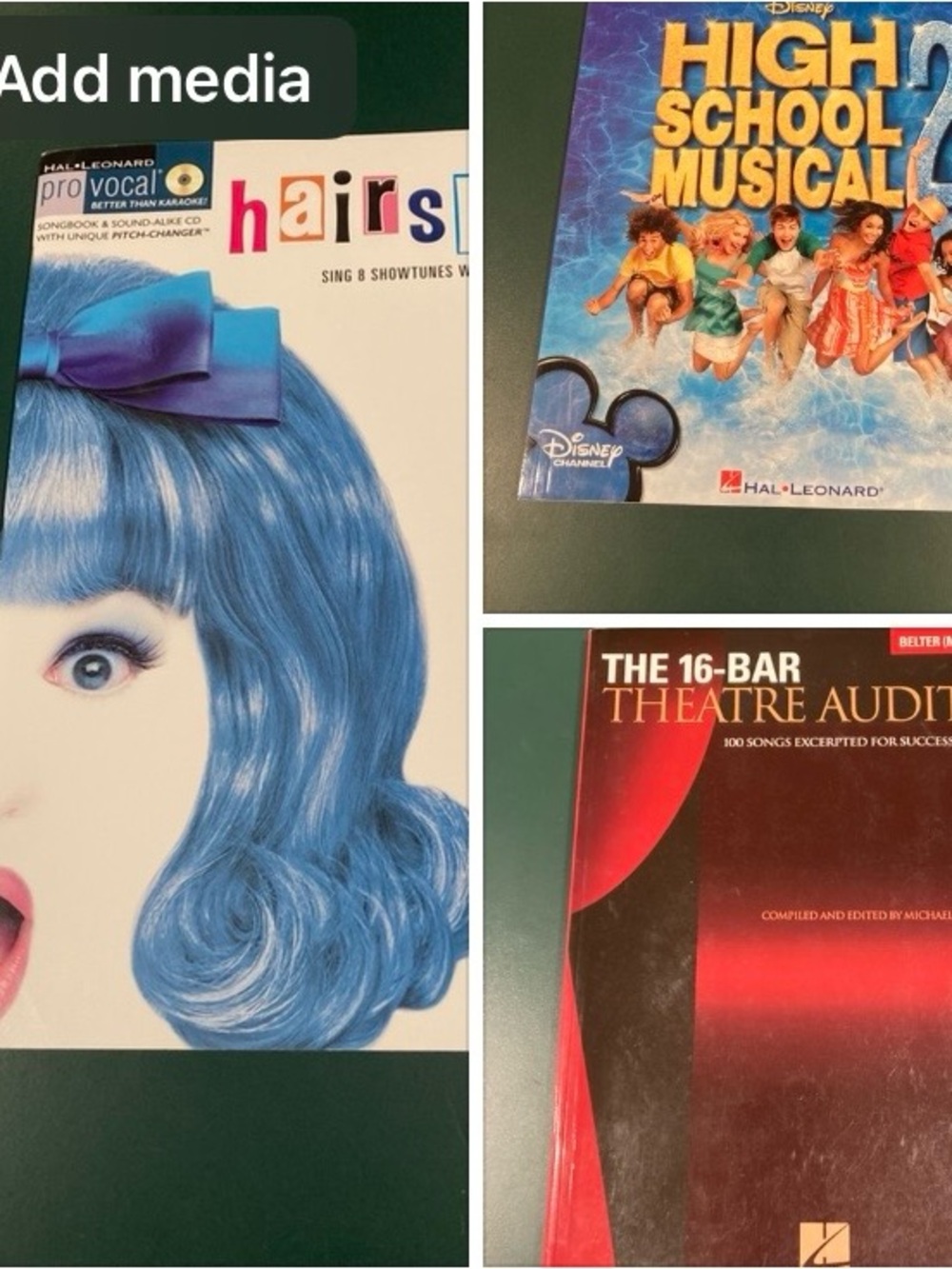 3 Music Books: Hairspray, High School Musical 2, Theatre Audition Songbook